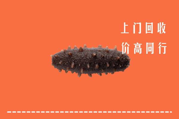 南康区回收海参