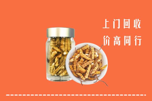 南康区回收冬虫夏草
